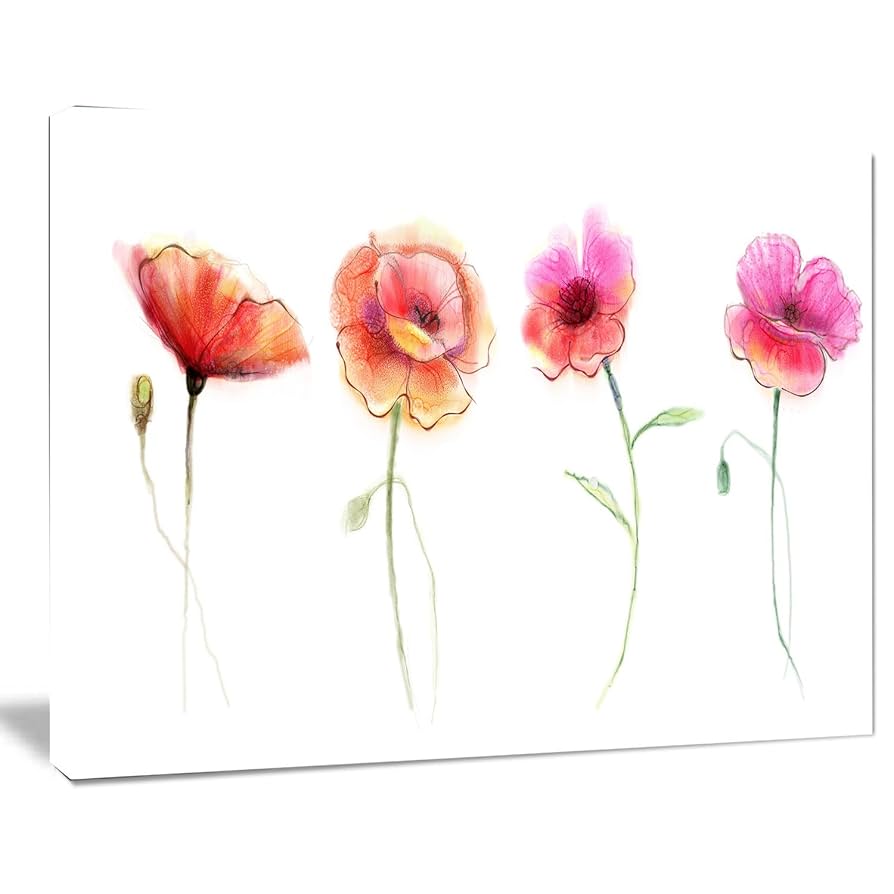 ポピー　水彩画 ポピー 水彩画のイラスト素材 [75877581] - PIXTA